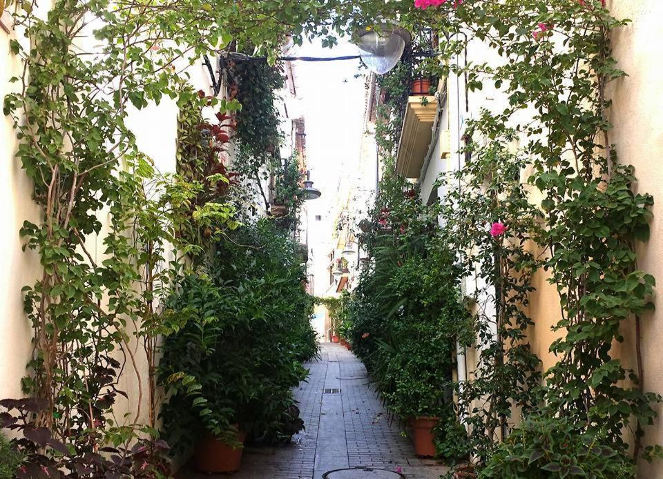 Casa Bonaire Daire Javea Dış mekan fotoğraf